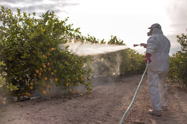 Best Pest Prevention Services  in Arnold, CA
