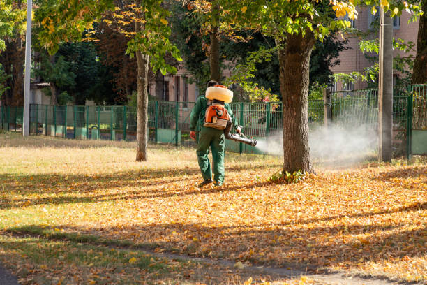 Flea Control Services in Arnold, CA